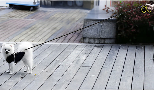 Lesa Retractabila Pentru Caini IdealStore, Dispozitiv de Blocare, Lungime 8 metri, Dimensiune 21 x 11 x 4cm, Greutatea Maxima a Cainelui 50kg, Culoare Negru-Galben