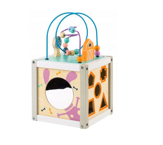 Centru educational IDL, Model Cub 5 in 1, Ajuta la dezvoltarea creativitatii si coordonarii Mana-Ochi pentru copii, Dezovolta Abilitati Cognitive Material Lemn Premium, Multicolor
