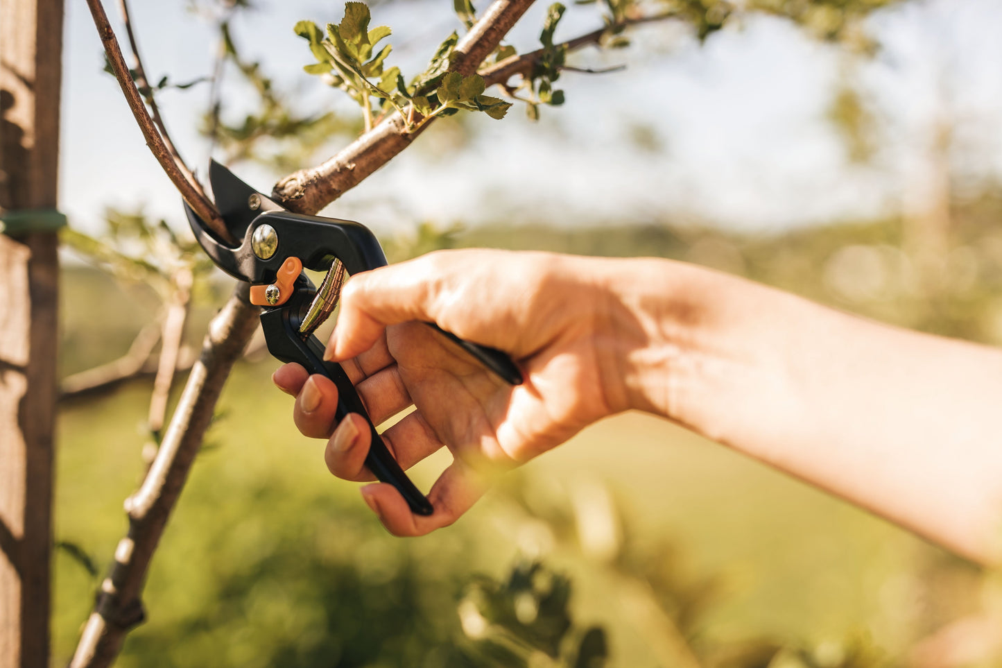 Foarfeca de gradina idealStore GardenaTools, tip Pas cu Pas, Lama Otel