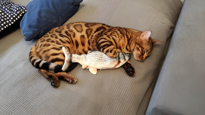 Jucarie Interactiva Jumping Fish IdealStore, Perfecta Pentru Pisici Jucause, Reactie La Atingere, Dimensiune 30x14x4cm, 3D Incarcare USB, Culoare Verde-Alb