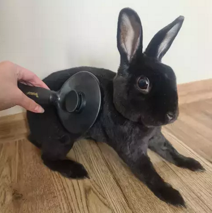 Perie pentru curatarea si ingrijirea parului de animale, Prezinta un maner ergonomic si antiderapant, Buton pentru indepartarea parului de pe ace, Ideal pentru cabinete veterinare, saloane de ingrijire sau casa