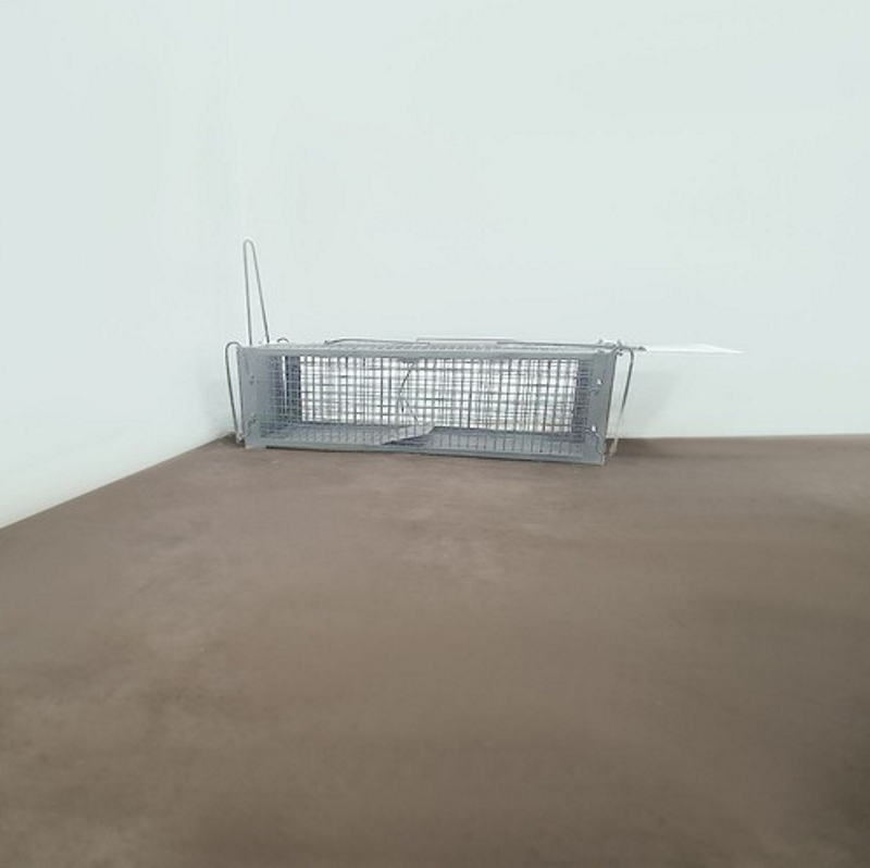 Capcana Ecologica Pentru Rozatoare idealSTORE, Dimensiuni 43 x 15 x 12 cm, Fabricata din Tabla zincata si Sarma, Include 2 Manere pentru transport, Sistem de blocare cu clichet, Eficient si Umanitar