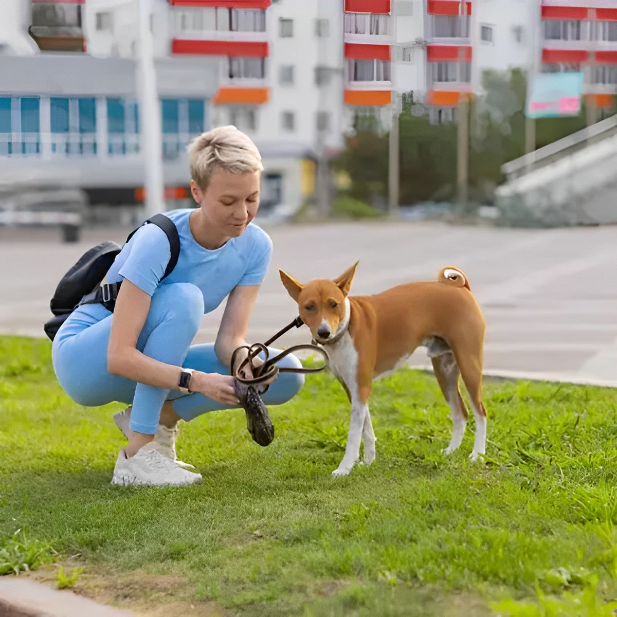 Set 1000 Pungi Pentru Igiena Cainilor IdealStore, Rezistenti, Stock Pentru Tot Anul, Culoare Neagra