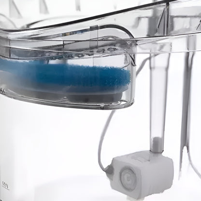 Adapator si Fantana pentru Animale 2in1 IdealStore, Dimensiune 16,5 x 22 cm, Capacitate 2l, Filtru cu 3 Straturi, Curatare Usoara, Transparent