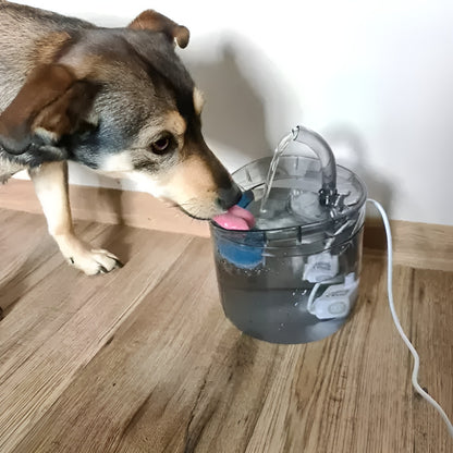 Adapator si Fantana pentru Animale 2in1 IdealStore, Dimensiune 16,5 x 22 cm, Capacitate 2l, Filtru cu 3 Straturi, Curatare Usoara, Transparent