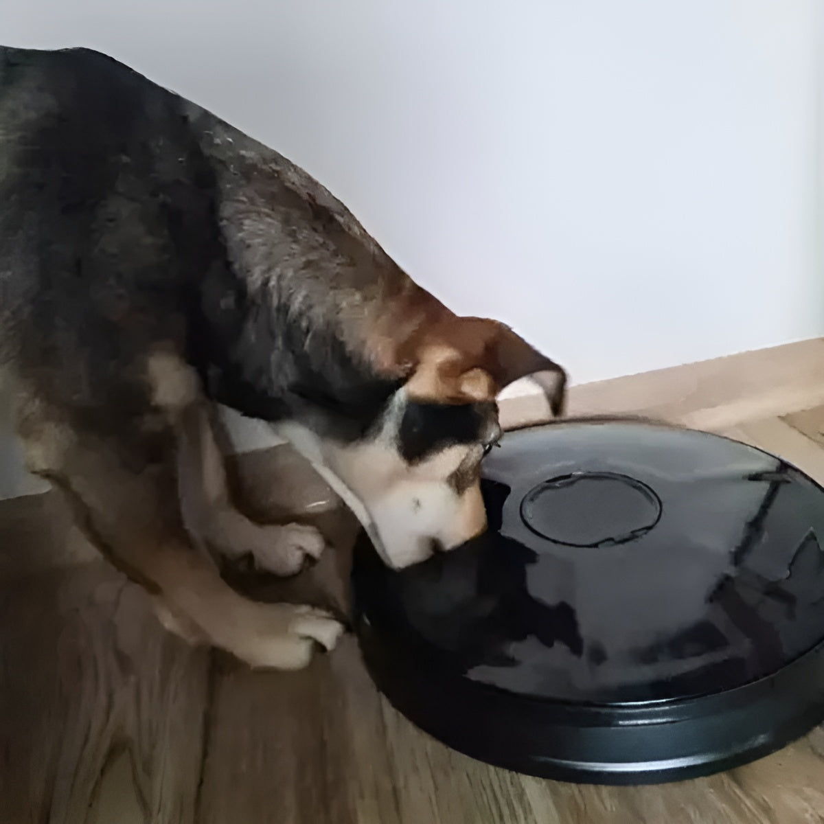 Dispenser Automat Pentru Hrana Animalelor IdealStore, Display LED, Timer, Semnal Sonor, 6 Compartimente, Capacitate 150 ml, Dimensiune 30x30x6cm, Culoare Negru