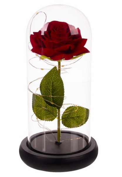 Trandafir Rosu Criogenat idealSTORE in Cupola de Sticla, Dimensiuni 22 x 11 cm, Iluminat LED, Include 100 de petale de trandafir, Cutie de Cadou, Funda, Pe blat Negru, Ideal pentru Evenimente Speciale