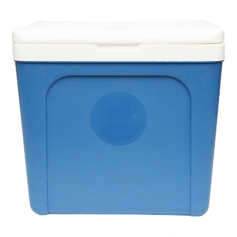 Lada frigorifica IdealSTORE pentru picnic, 25L, albastra, Dimensiuni 390 x 280 x 365 mm