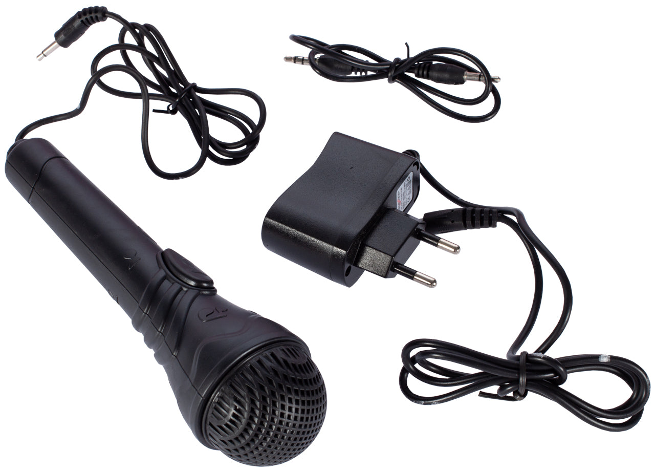 Orga muzicala electronica cu microfon idealSTORE Bit Sing Key, Tastatura are un design modern si un sunet spatial excelent, Echipata cu 61 de clape, 100 de sunete diferite, Sistem de inregistrare/redare, Afisaj LED, Intrare USB