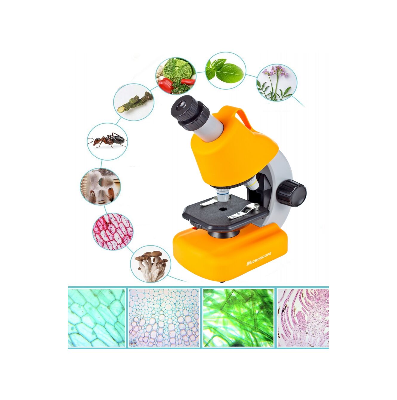 Microscop Multifunctional Stiintific pentru copii idealSTORE, Dimensiuni 16 x 10 x 22,5 cm Include 3 lentile de marire, Numeroase Accesorii, Lampa LED pentru Iluminat, Inaltime Reglabila, Valiza pentru transport