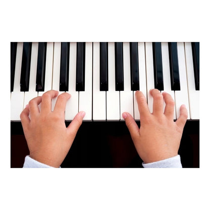 Orga Electronica idealStore PianoBlack, 61 Taste, Mod de Invatare, Inregistrare, Suport pentru Tableta, Microfon, Piese Demo si de Fundal