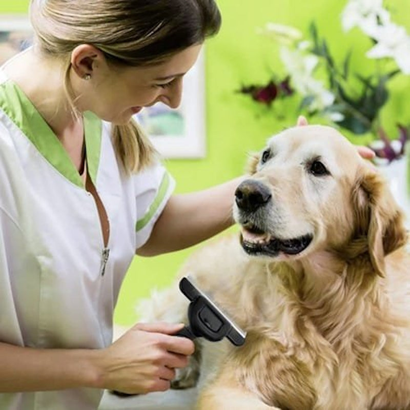 Perie de Par idealSTORE pentru Tuns Caini, Pisici, Animale, indeparteaza Parul Mort, Lama din Otel Inoxidabil, Constructie Solida, Posibilitate de a Detasa Lama