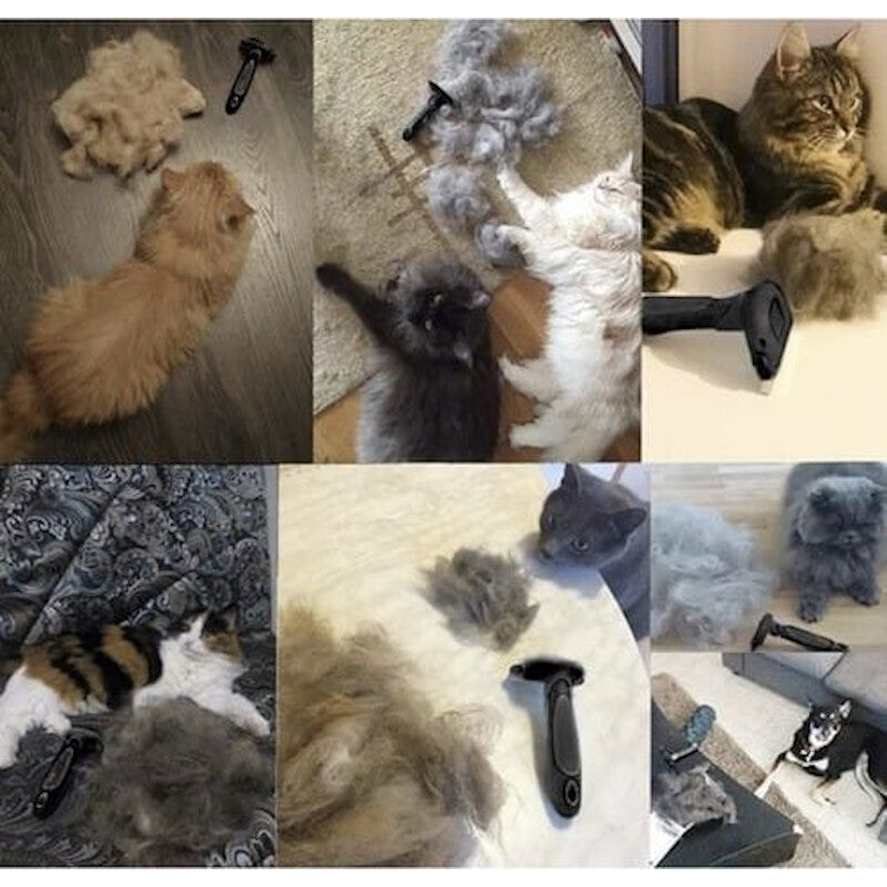 Perie de Par idealSTORE pentru Tuns Caini, Pisici, Animale, indeparteaza Parul Mort, Lama din Otel Inoxidabil, Constructie Solida, Posibilitate de a Detasa Lama