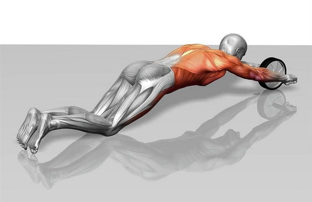 Set Roata Fitness plus o saltea pentru exercitii LifePower IdealStore pentru exercitii fizice si Tonifierea muschilor, Manere antiderapante din neopren