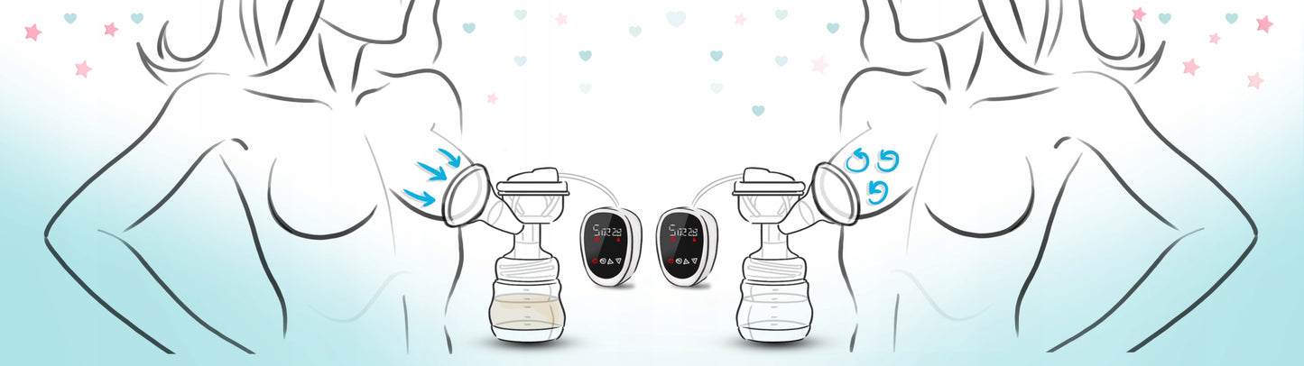 Pompa de San Electrica idealStore BerdsenElectric, Doua Faze, Putere Reglabila, Panou de Control, cu Acumulator