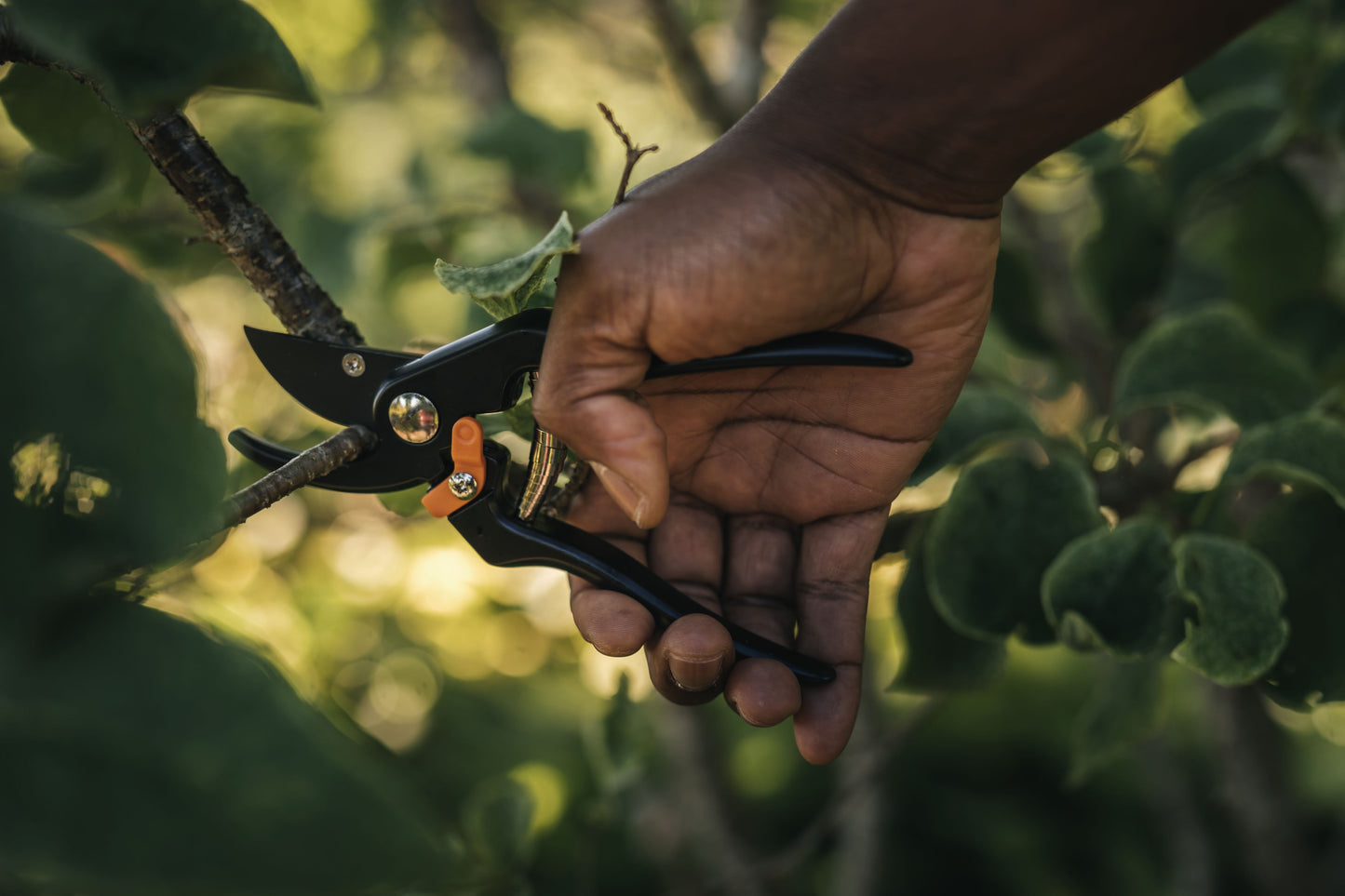 Foarfeca de gradina idealStore GardenaTools, tip Pas cu Pas, Lama Otel