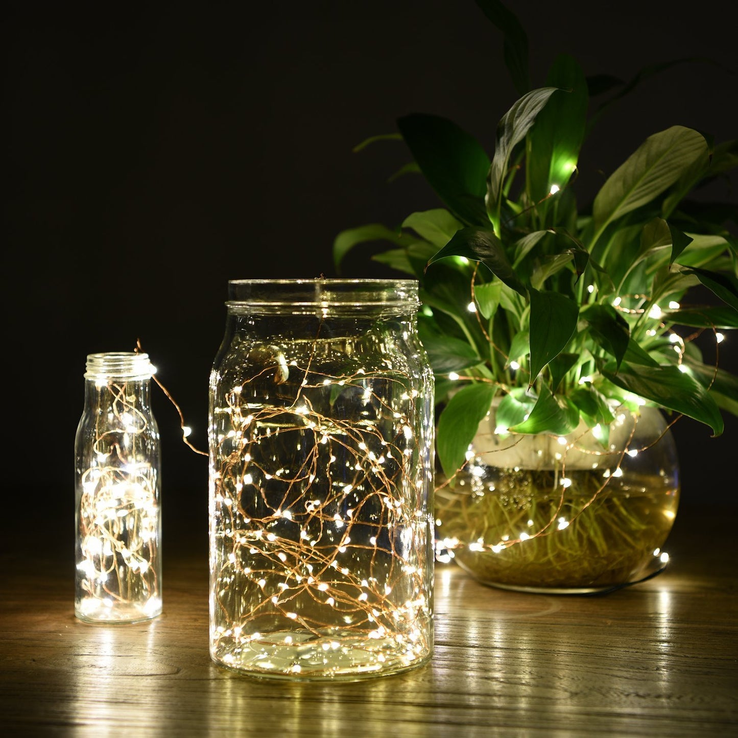 Instalatie IDL Profesionala pentru brad, 100 de micro-Led-uri albe cu lumina calda ce creeaza un mediu ambiental primitor si calduros, 10 m cu fir de cupru si grad de protectie IP20