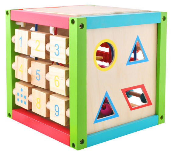 Centru educational IDL , Model Cub 2 in 1 , Ajuta la dezvoltarea creativitatii si coordonarii Mana-Ochi pentru copii, Dezovolta Abilitati Cognitive Material Lemn Premium, Multicolor