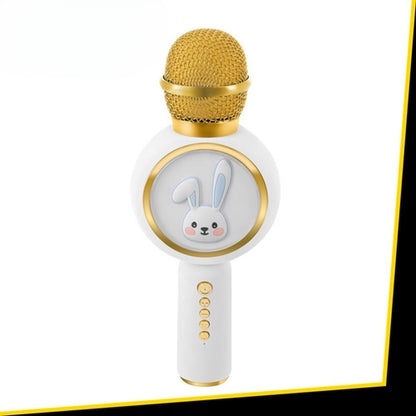 Microfon Karaoke Wireless idealSTORE cu Bluetooth, Difuzor 5W, Lumini RGB, Efecte Voce, Card TF, Alb